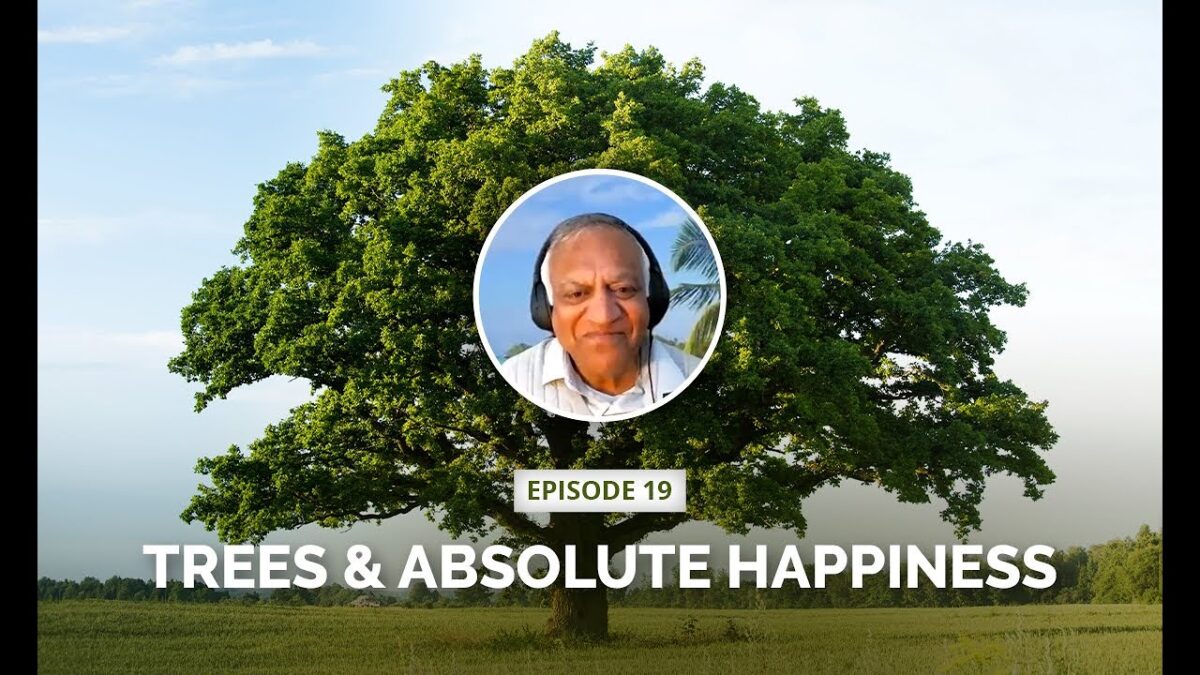 Trees and Absolute Happiness