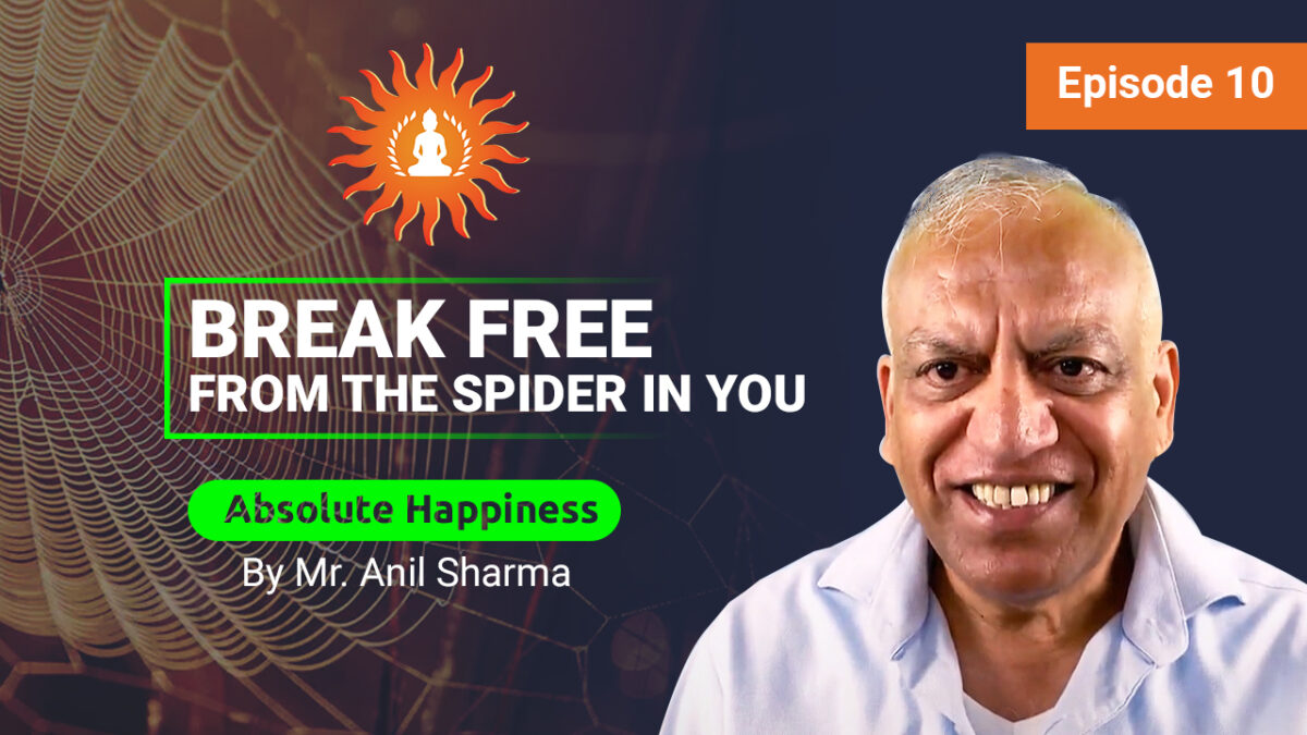 Break Free From the Spider