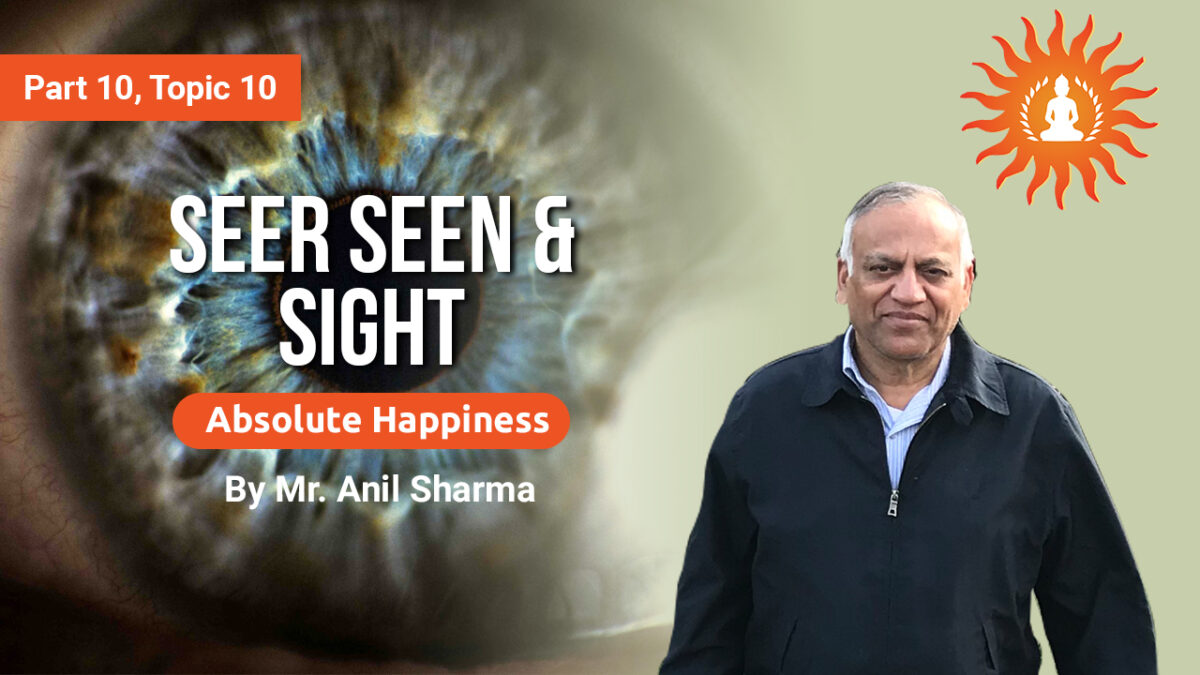 Seer Seen & Sight | Absolute Happiness - Part 10, Topic 10